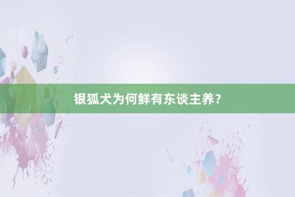 银狐犬为何鲜有东谈主养？