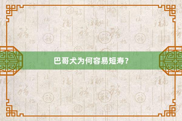 巴哥犬为何容易短寿？