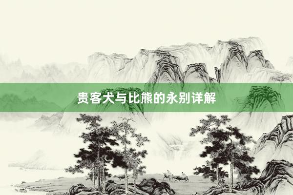 贵客犬与比熊的永别详解